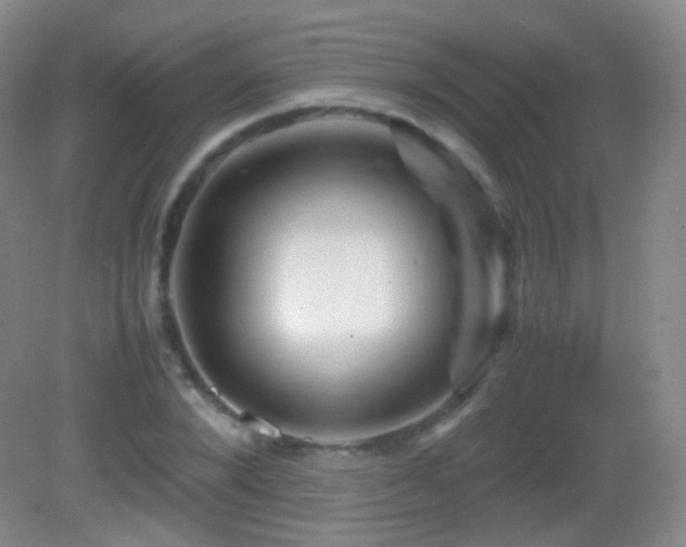 X0000082990880200702011426