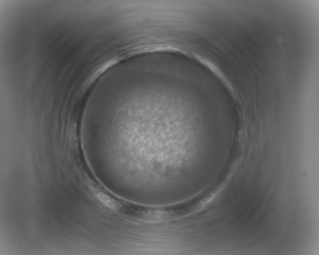 X0000082990881200702011426