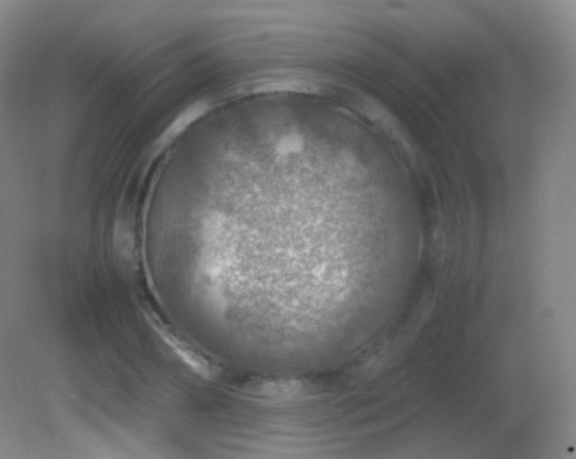 X0000082990882200702011426