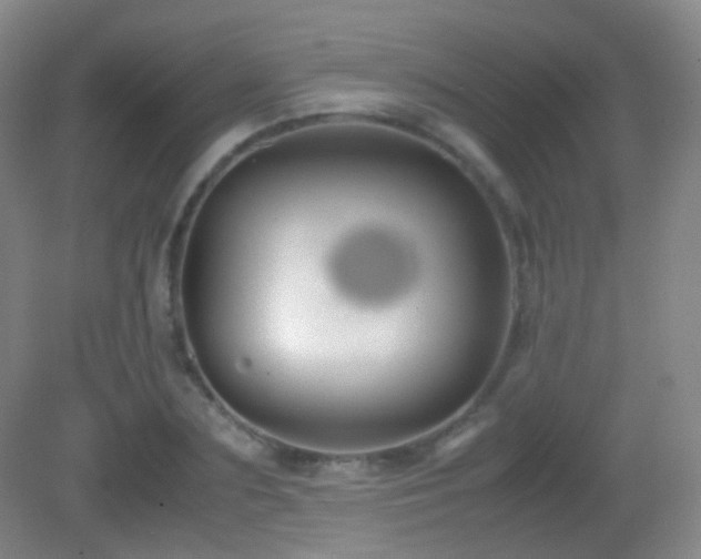 X0000082990883200702011426