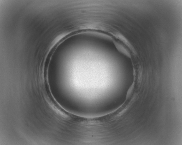 X0000082990884200702011426