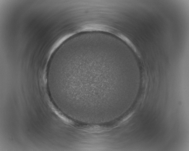 X0000082990885200702011426