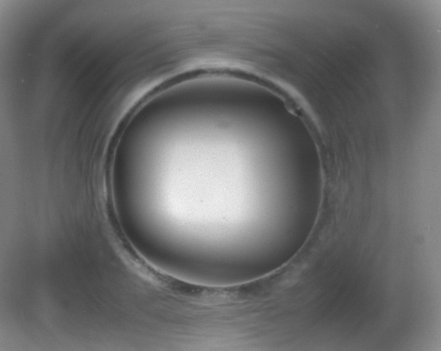 X0000082990887200702011426