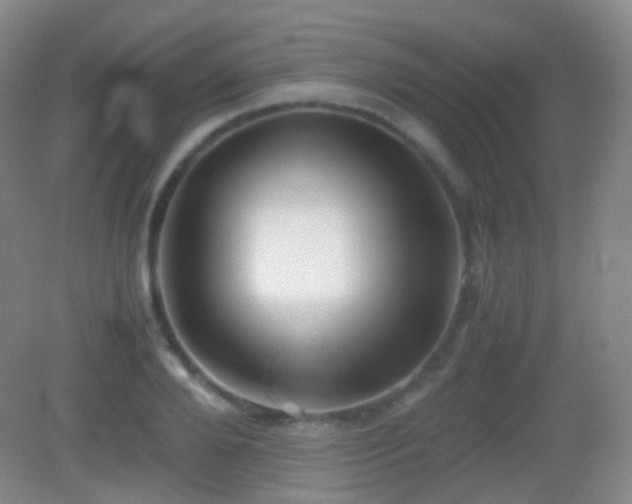 X0000082990888200702011426