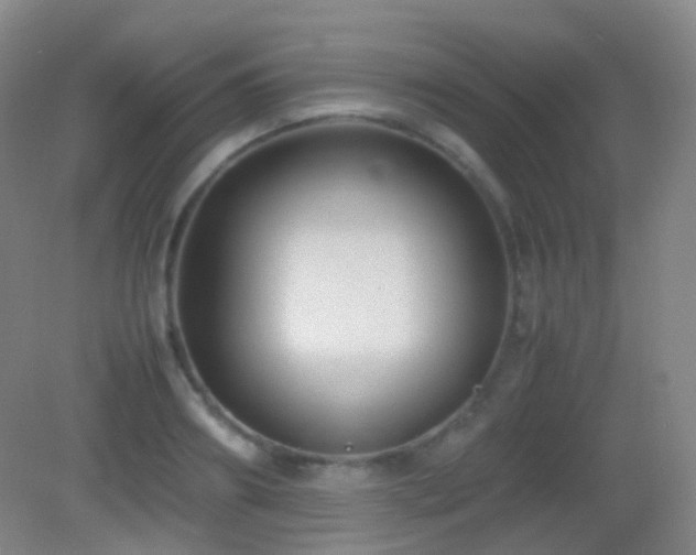 X0000082990890200702011426