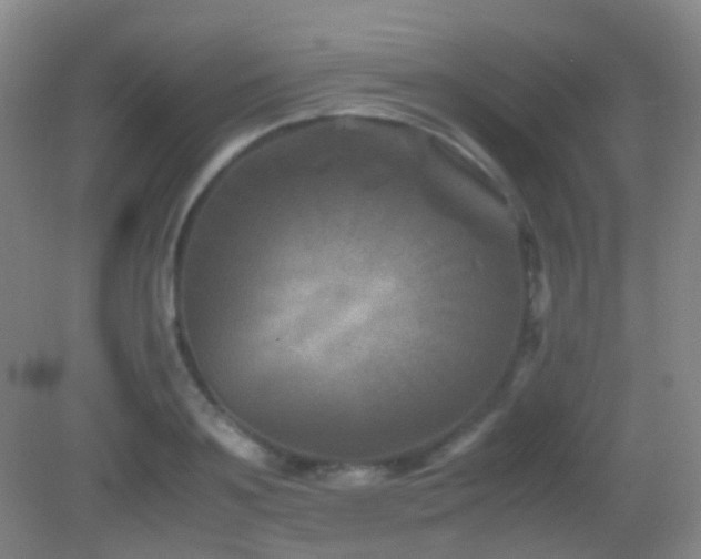 X0000082990891200702011426