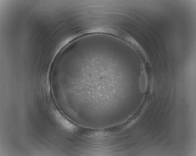 X0000082990892200702011426