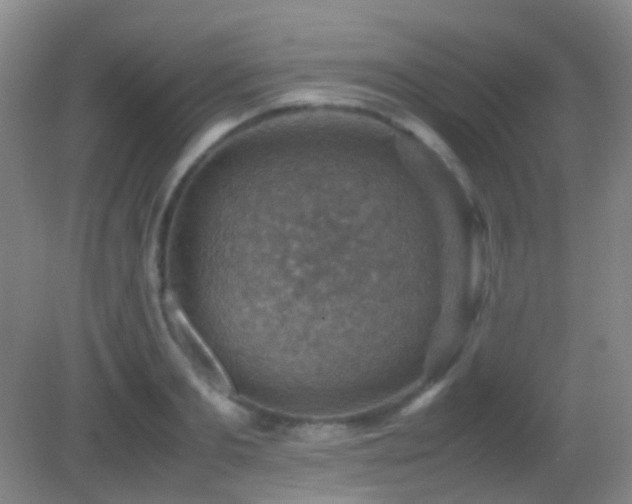 X0000082990893200702011426