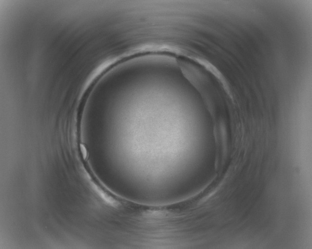 X0000082990894200702011426