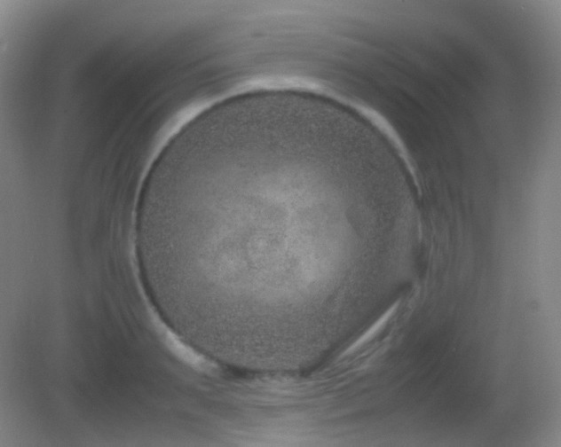 X0000082990895200702011426