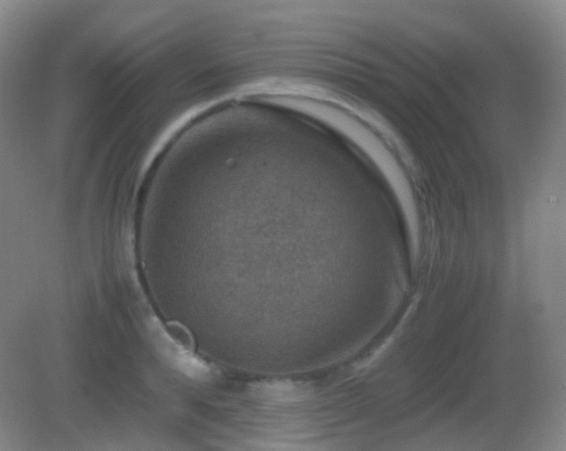 X0000082990896200702011426