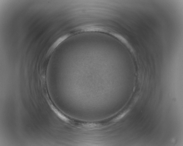 X0000082990897200702011426