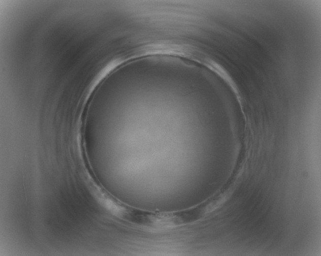 X0000082990899200702011426