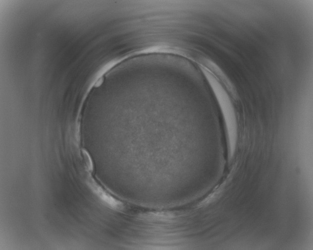 X0000082990900200702011426