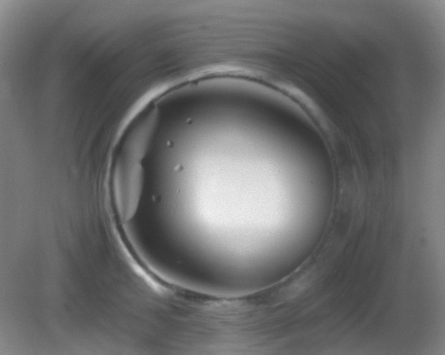 X0000082990902200702011426