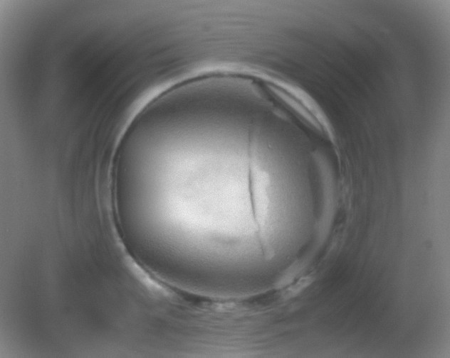 X0000082990903200702011426