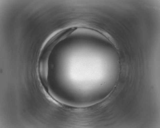 X0000082990904200702011426