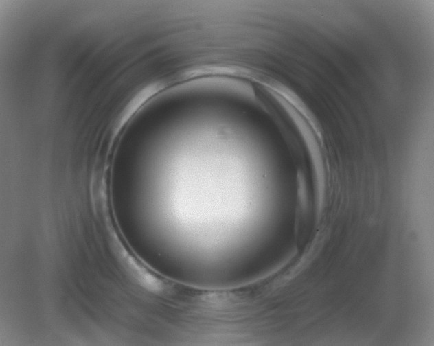 X0000082990906200702011426