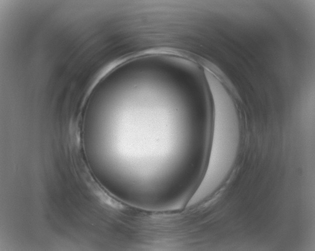 X0000082990908200702011426