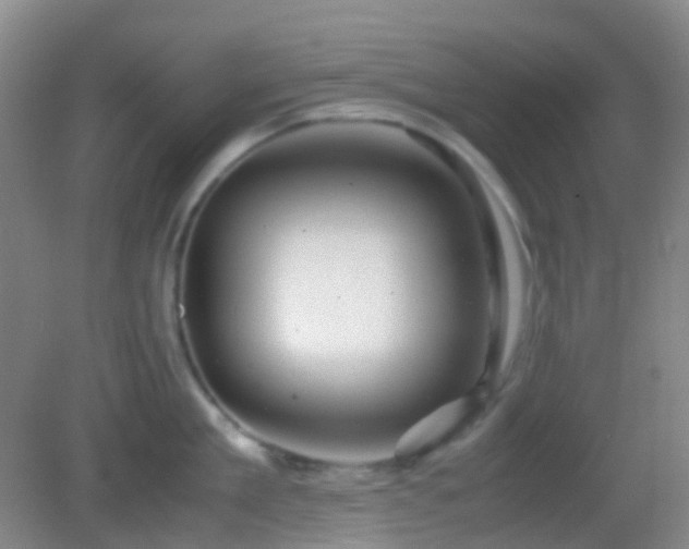 X0000082990909200702011426