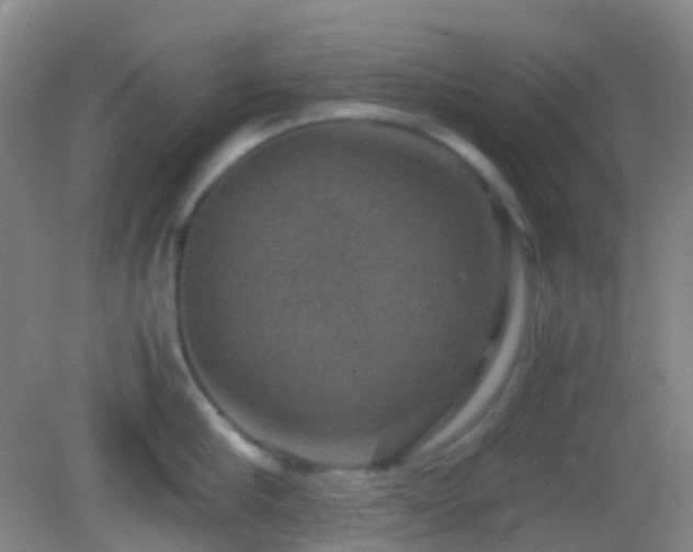 X0000082990910200702011426