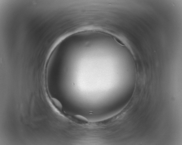 X0000082990911200702011426