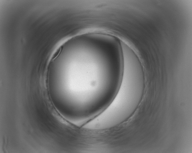 X0000082990912200702011426