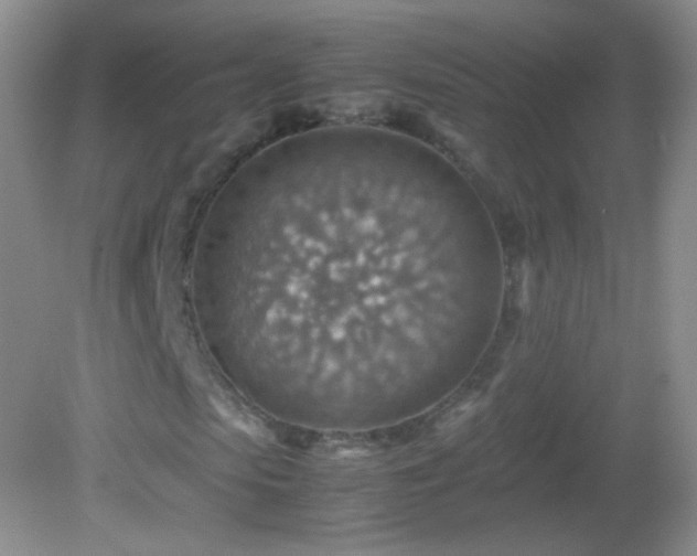 X0000082990913200702011425