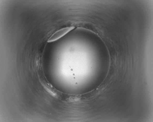 X0000082990914200702011425