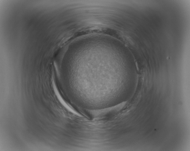 X0000082990916200702011425