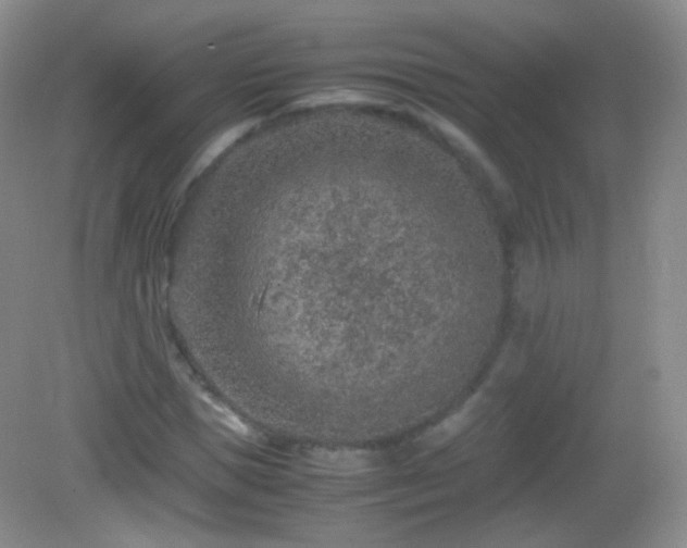 X0000082990921200702011425