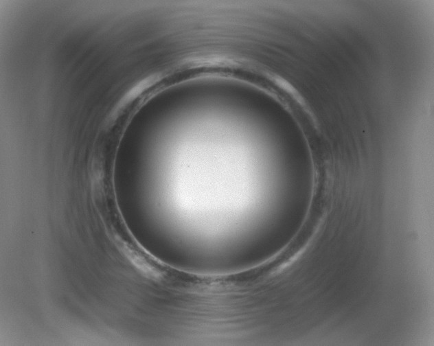 X0000082990922200702011425