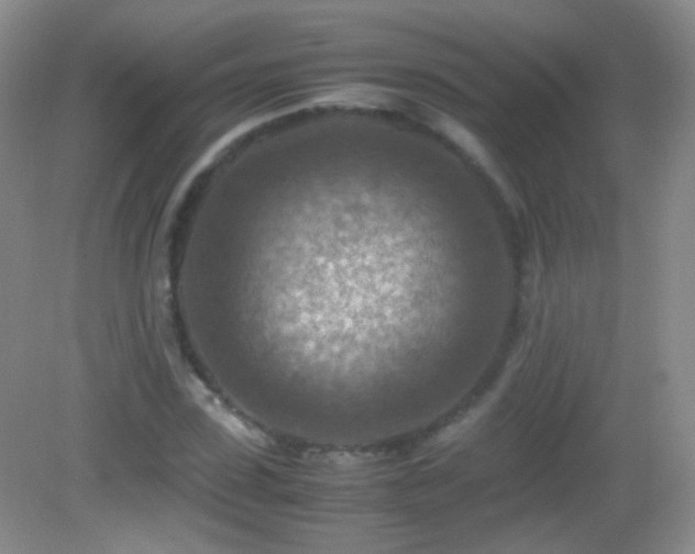 X0000082990923200702011425