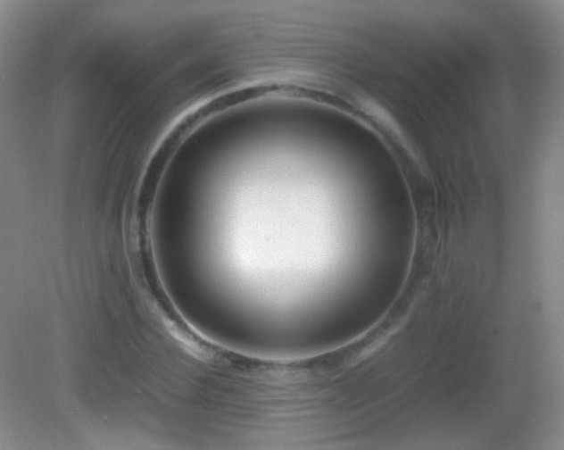 X0000082990924200702011425