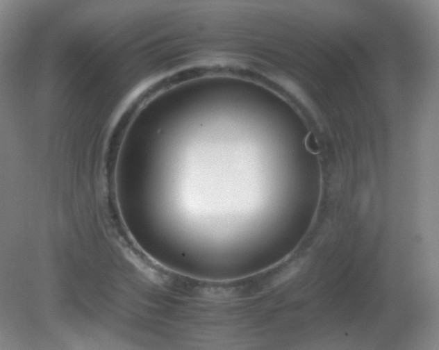 X0000082990927200702011425