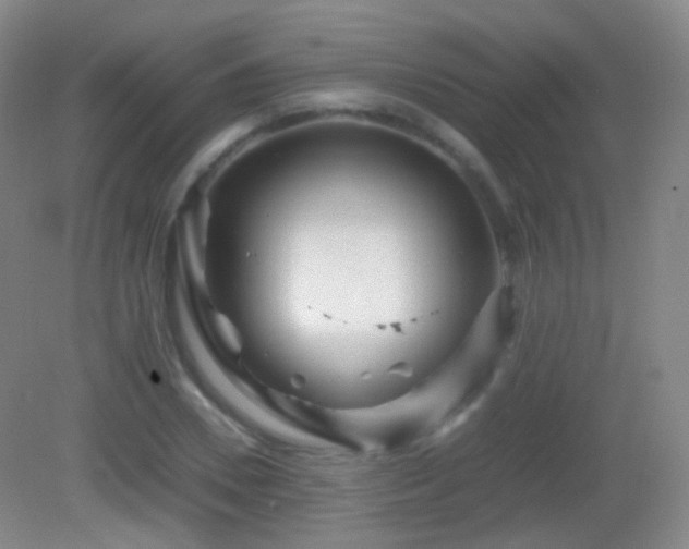 X0000082990930200702011425