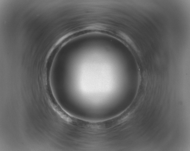 X0000082990931200702011425