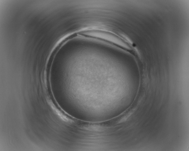 X0000082990932200702011425