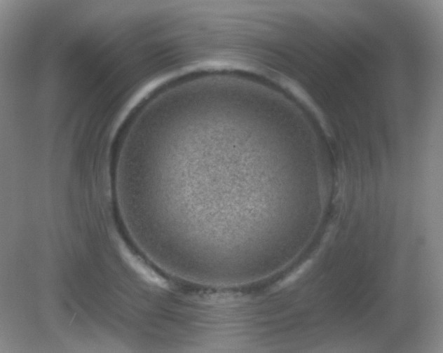 X0000082990934200702011425