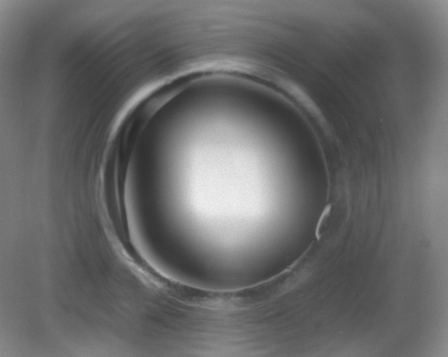 X0000082990936200702011425