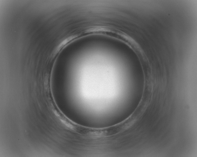 X0000082990937200702011425