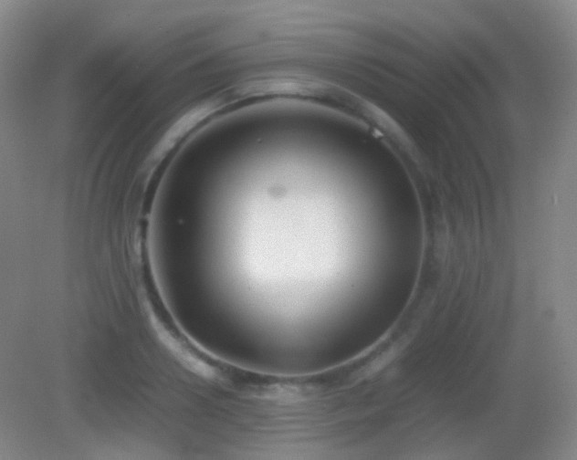 X0000082990938200702011425