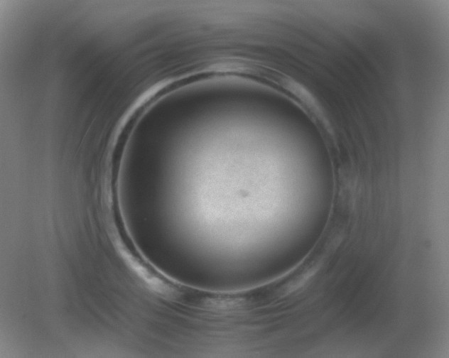 X0000082990939200702011425