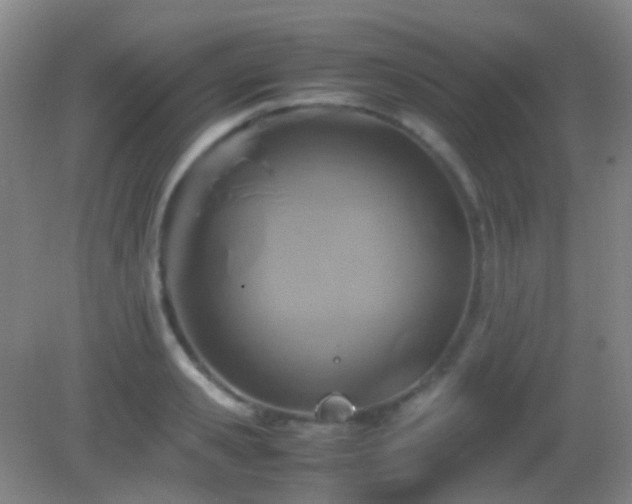 X0000082990941200702011425