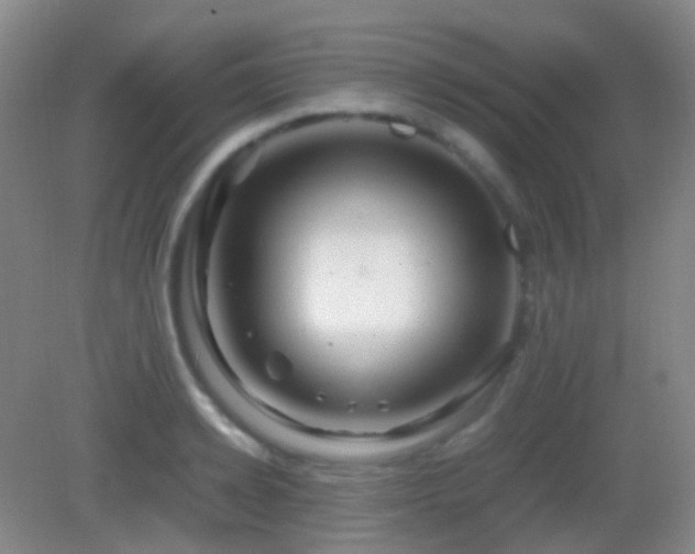 X0000082990942200702011425