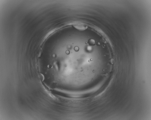 X0000082990945200702011425