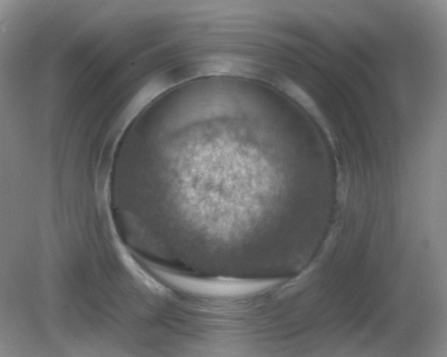 X0000082990946200702011425