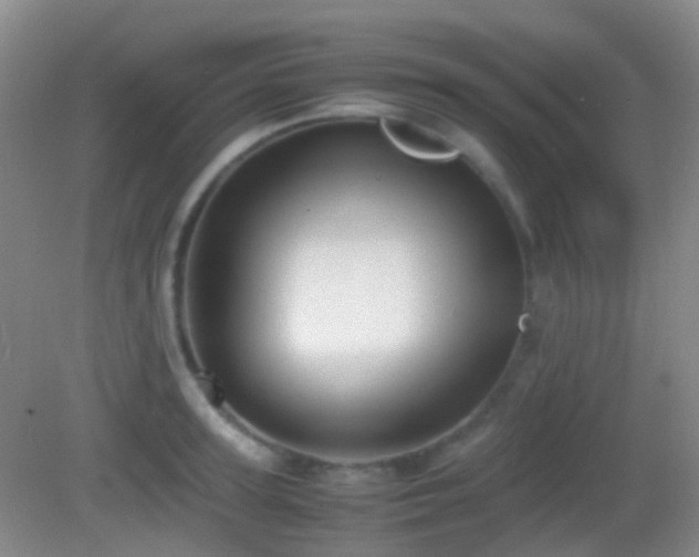 X0000082990947200702011425