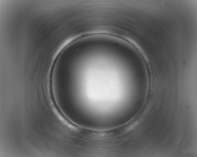 X0000082990949200702011425