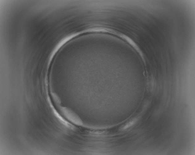 X0000082990951200702011425